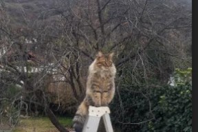 爱游戏 电竞-皇马青训系统持续输出新星，未来可期