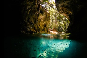 爱游戏综合娱乐-体育新闻中心青春力量崛起，扬体育精神展青春风采新闻稿