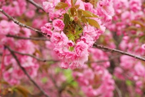 AYX体育官网-2025年9月16-17日足球重点比赛全方位前瞻，足球赛事时间表2020