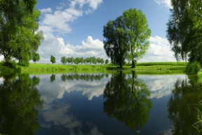 爱游戏app下载-“费尔南多·比亚尔巴的完美踢球，阿根廷美洲狮队的决胜武器”