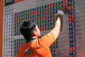爱游戏官方-全国跆拳道锦标赛天津选手首获金牌，天津跆拳道运动员