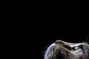 爱游戏电竞官网-球员受伤频率是否因战术高强度对抗而升高，球员受伤频率是否因战术高强度对抗而升高