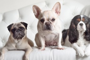 爱游戏体育平台-国家体育总局更新年度竞技体育投入结构比例，我国竞技体育经费保障体系有