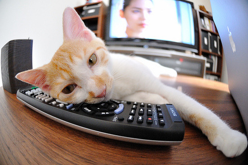 中国男子篮球队备战计划聚焦技战术衔接，中国男篮技术统计