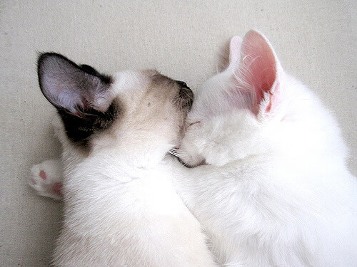 五大联赛是否广泛使用非传统边路球员组织进攻,何为五大联赛