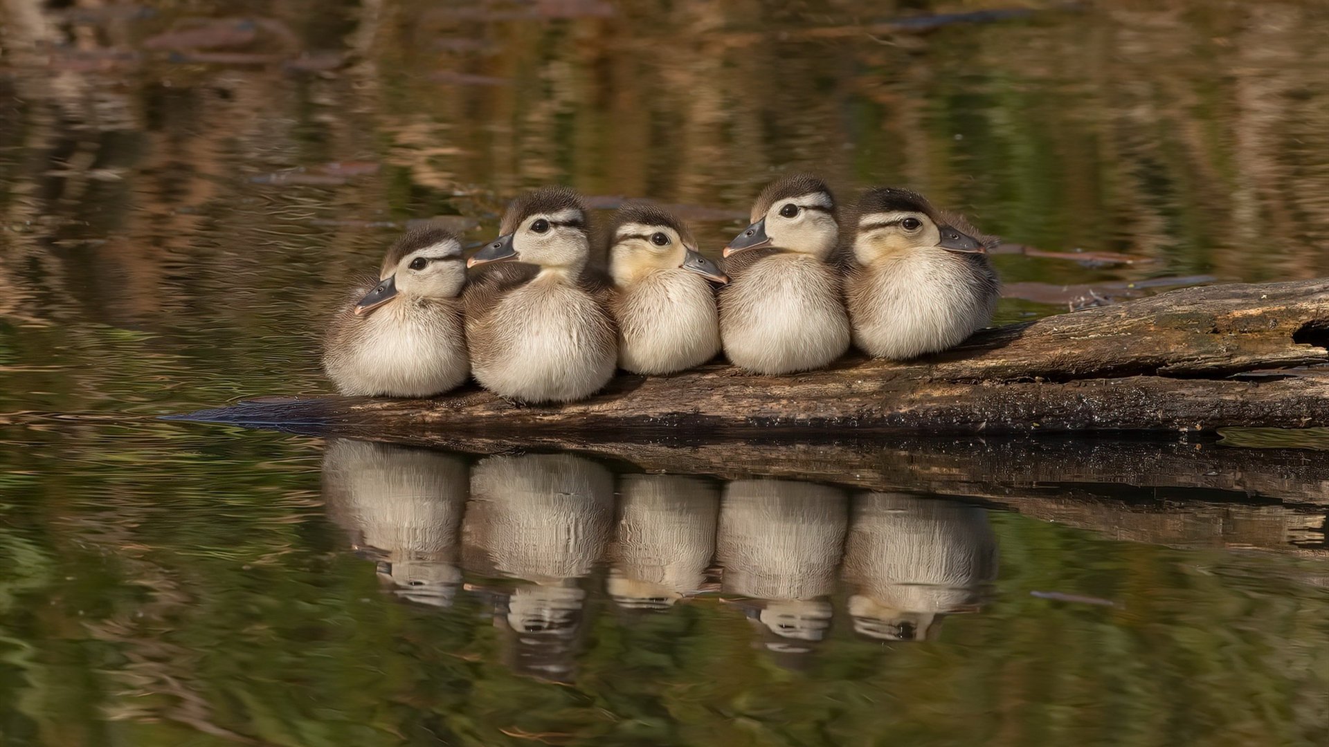 体育新闻中心主办体育科技成果转化对接会，体育科技创新大赛美篇