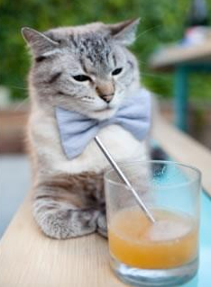 印度队在2024年国际乒联混合团体世界杯的全面突破，印度乒乓球一哥