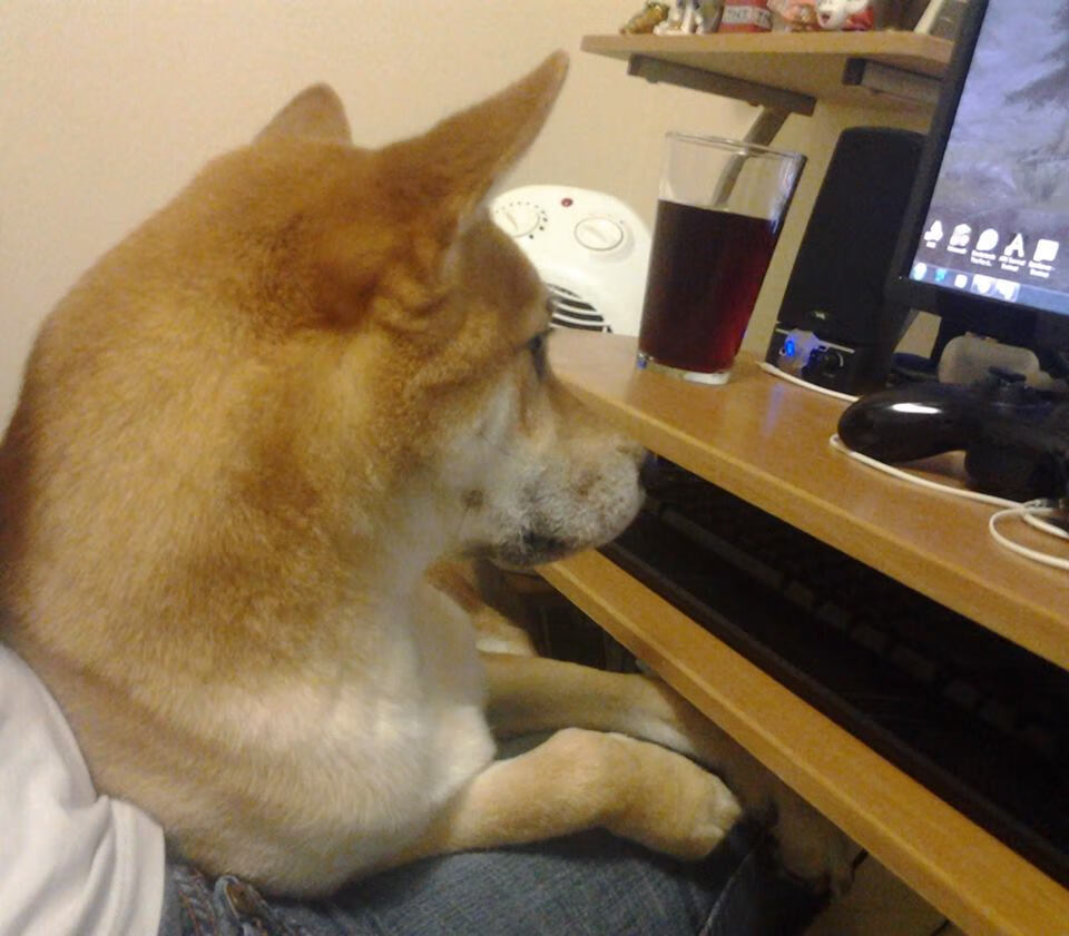 “华金·托比利亚的防守技艺与领导能力，成就美洲狮队的核心防线”