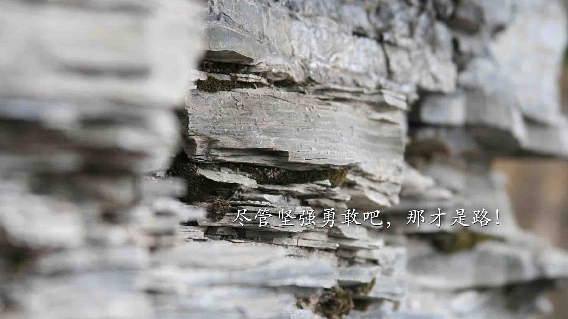 世界杯精彩纷呈：每场都令人热血沸腾！，世界杯锦集