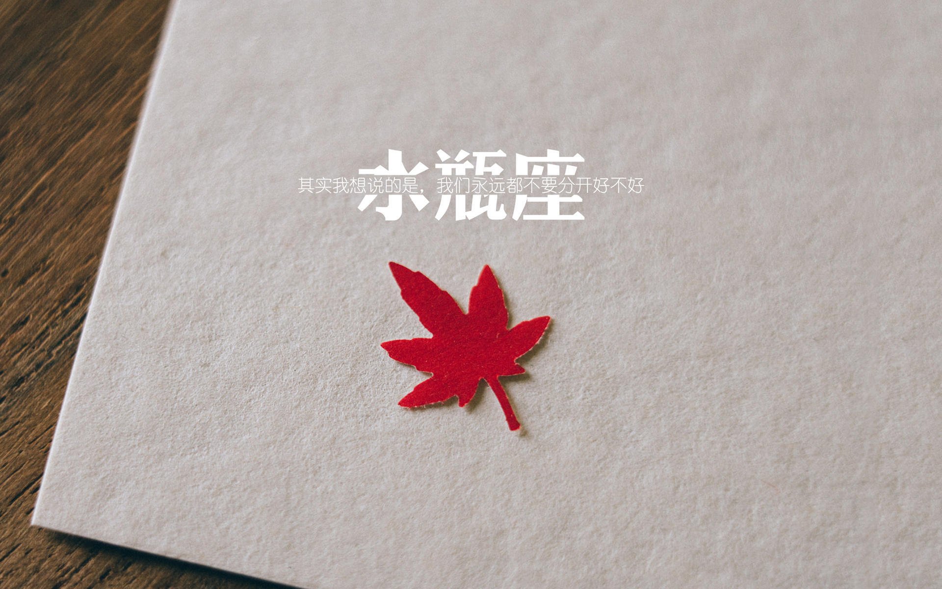 哈斯克冲线速度惊艳全场，哈斯克尔