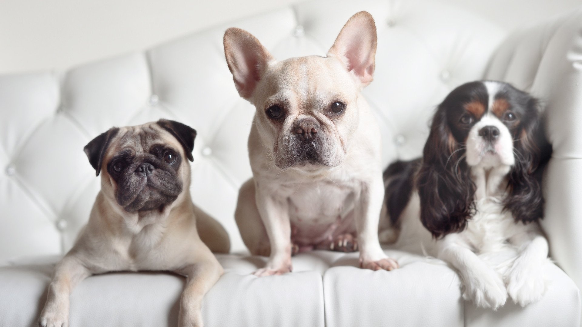 国家体育总局更新年度竞技体育投入结构比例，我国竞技体育经费保障体系有