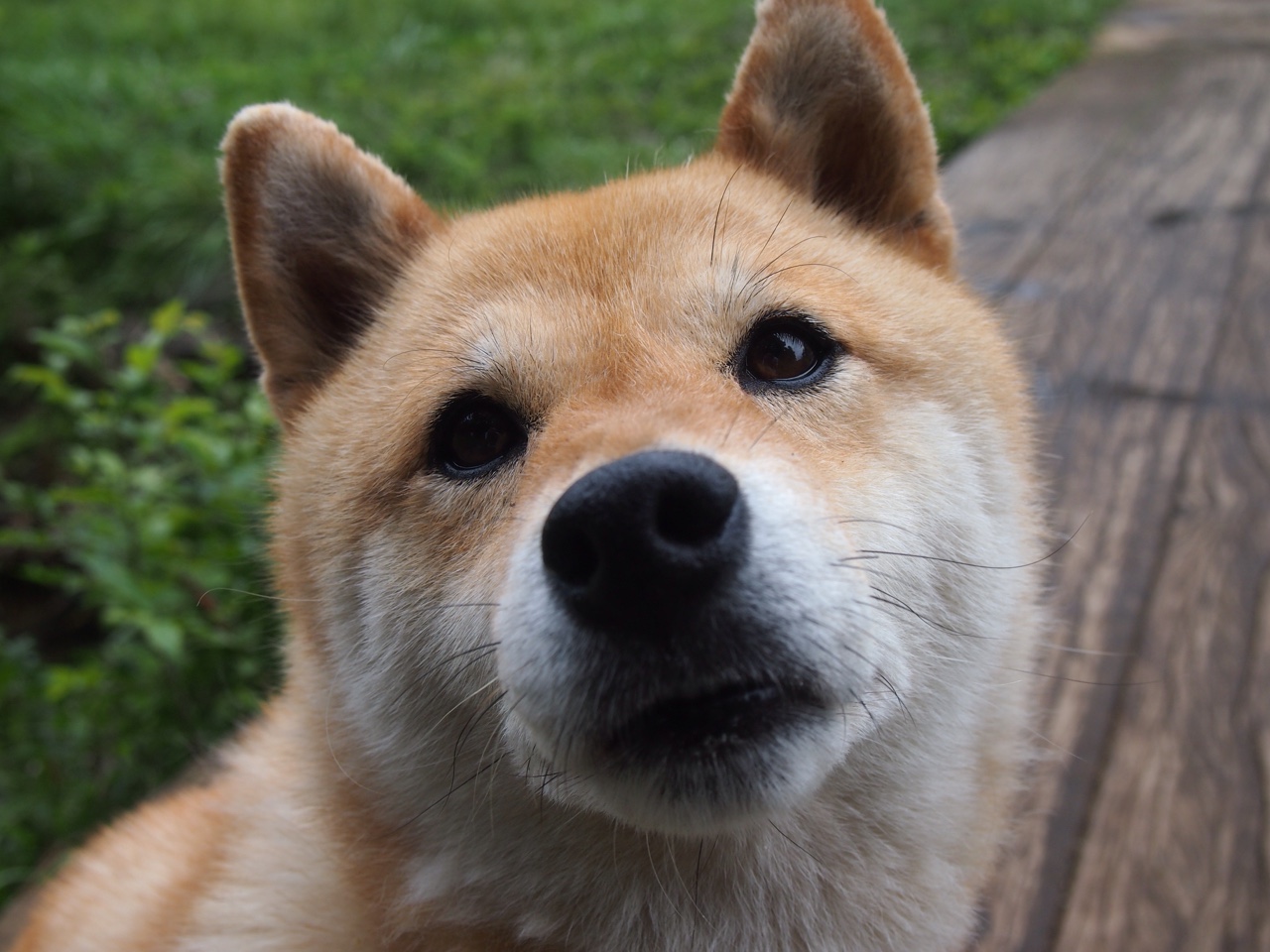 威少表示将继续提升组织效率帮助球队，威少发挥