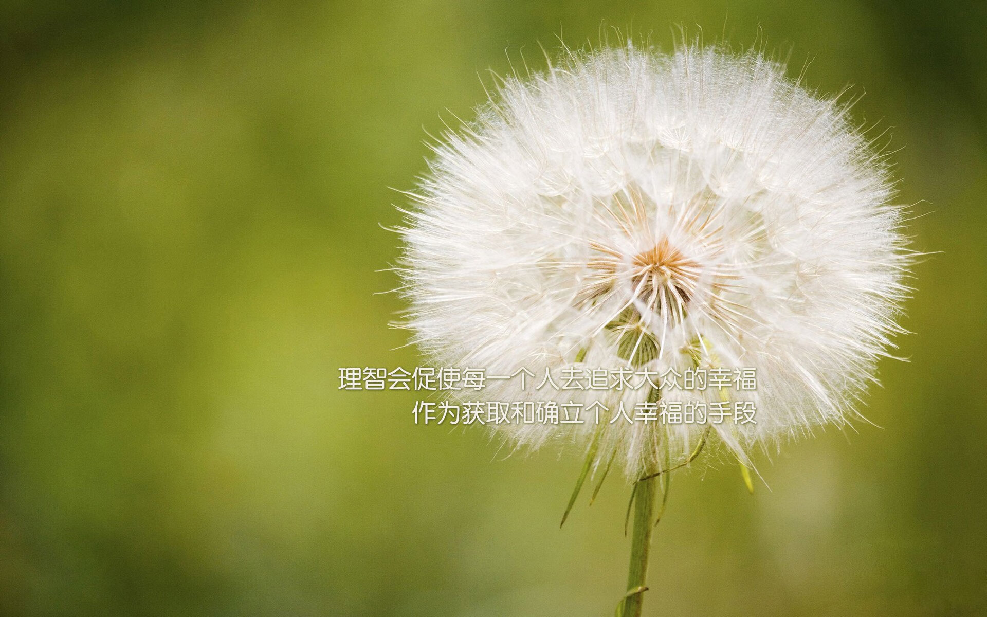 意甲精彩反击：快如闪电的瞬间破门，意甲高能7秒