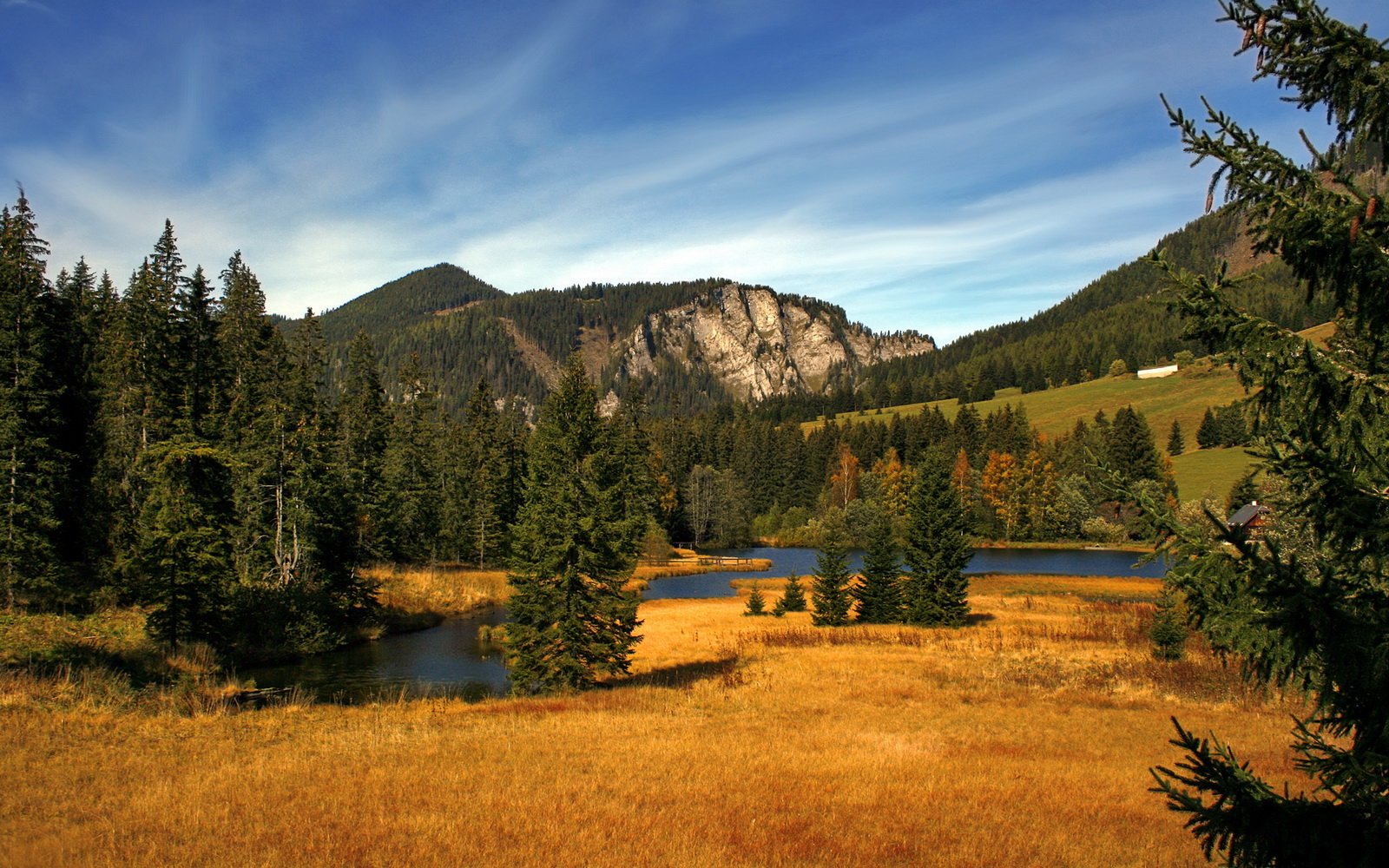 湖人年轻球员频频挑战老将形成积极竞争氛围，湖人年龄最大的球员