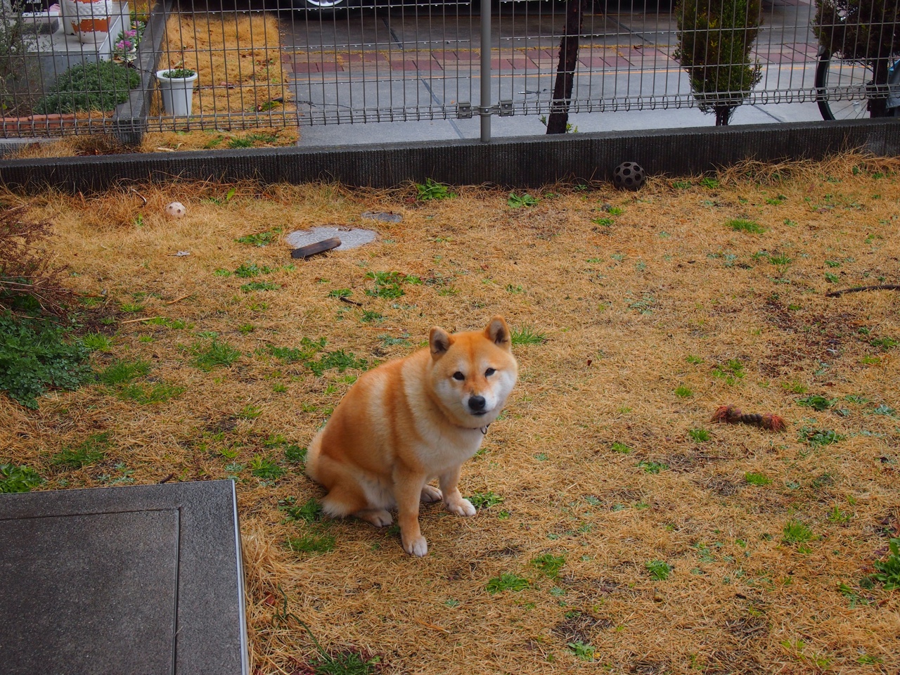 湖人年轻球员频频挑战老将形成积极竞争氛围，湖人年龄最大的球员