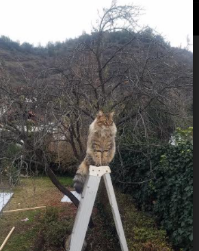 皇马青训系统持续输出新星，未来可期