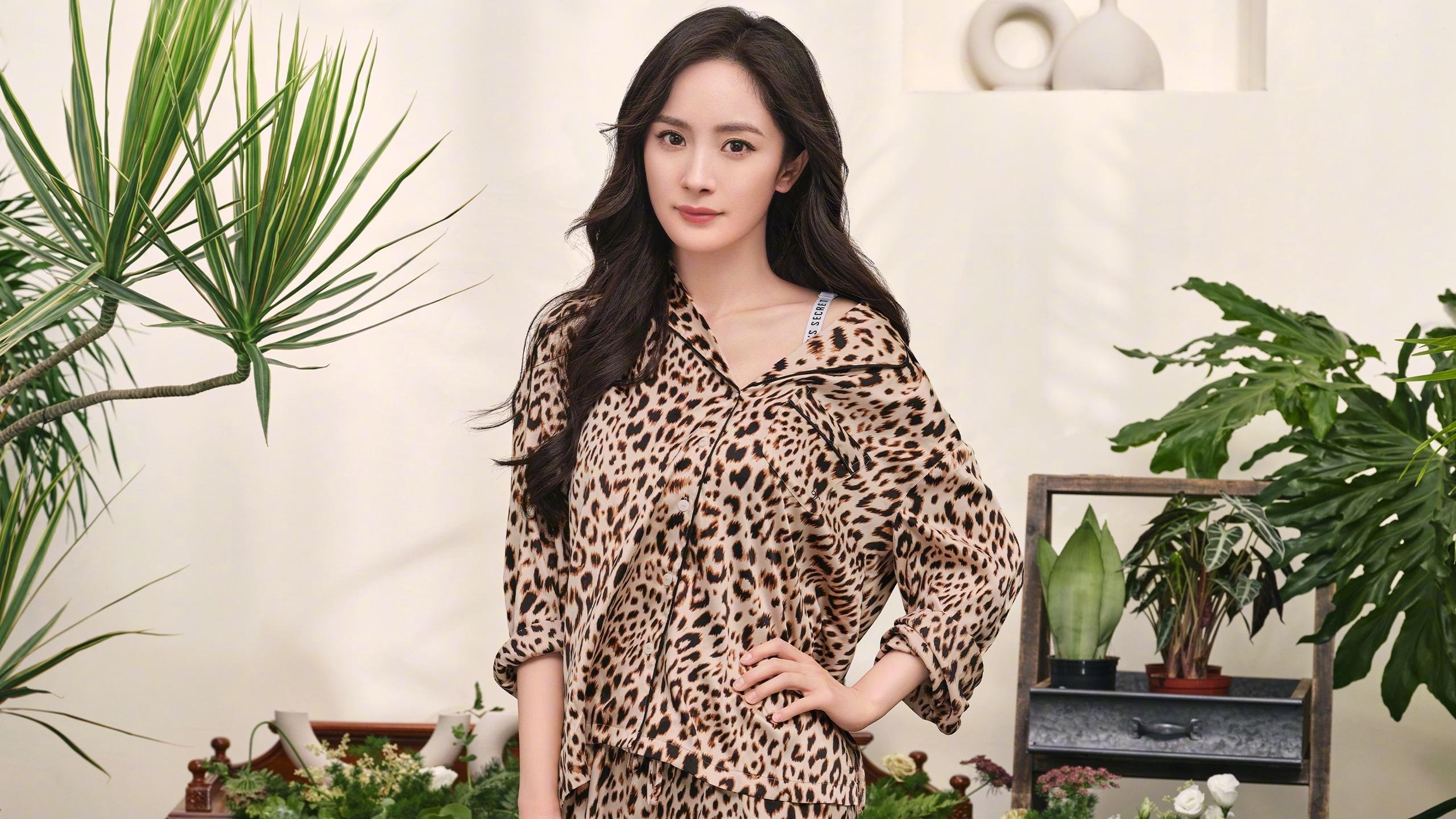 范奥特尔戴克蝶泳50米决赛亮相，范戴克凯尔特人