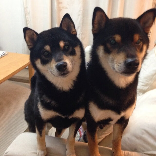 足球裁判培训营提升执法标准，足球裁判员培训心得体会